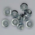 M10 Hex Serrated Flange Nuts BZP (10)